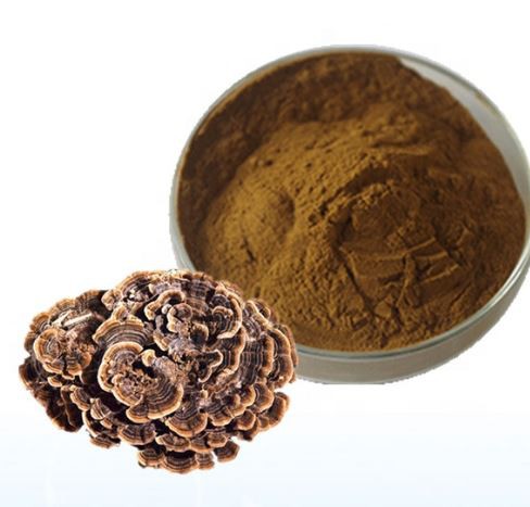 Trametes versicolor extract12064254889