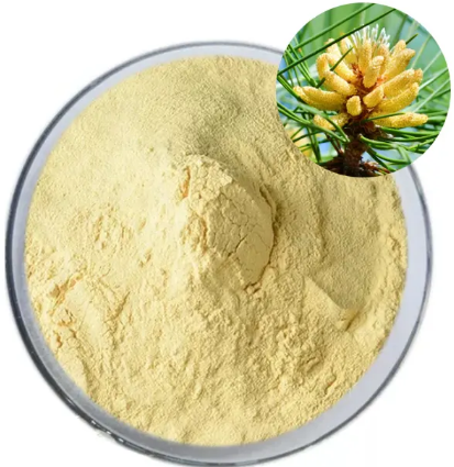Pine pollen powder extract5e929017 077c 4f31 89a1 883a8aec3a27