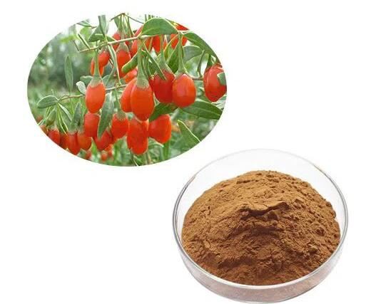 Goji powder44177154895