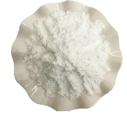 Bifidobacterium breve23372178681