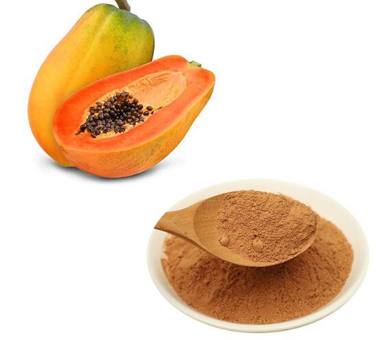 Papaya juice powder06228892025