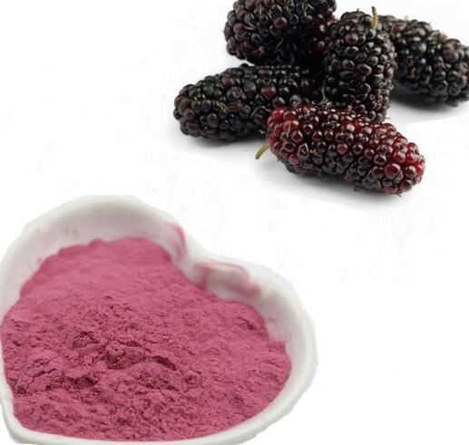 Mulberry juice powder32350689631
