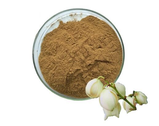 Yucca extract20339547211