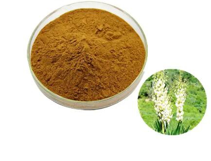 Yucca saponin172e53fb 5f0e 4a13 a0e5 8428bc164477