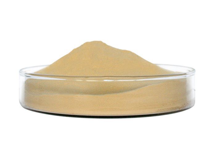 Xylanase enzymes21219541369