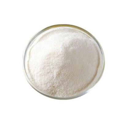Lactobacillus bulgaricus07472578344