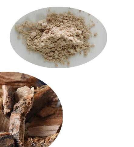 Slippery elm bark extract57522101822