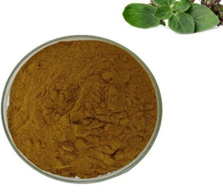 Oregano herb powder13149482501