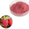 Red raspberry powder59389270832