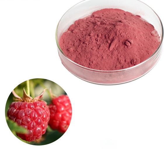 Red raspberry powder59389270832