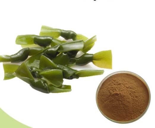 Kelp extract45446919602
