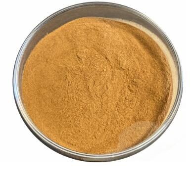 Slippery elm inner bark powder36572461630