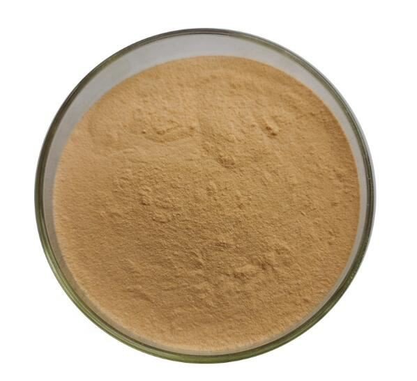 Chromium rich yeast30537313888