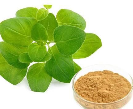 Oregano leaf extract36223591679