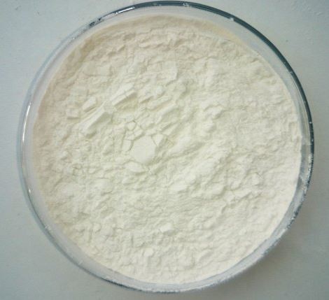 Lipase enzyme37204184467