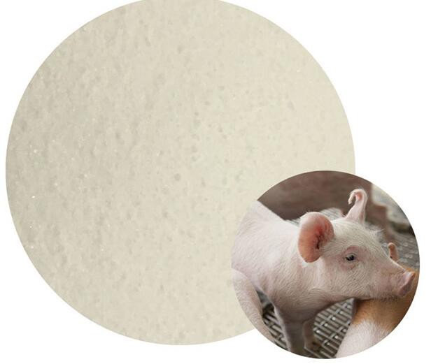 L ascorbate 2 monophosphate01160072192