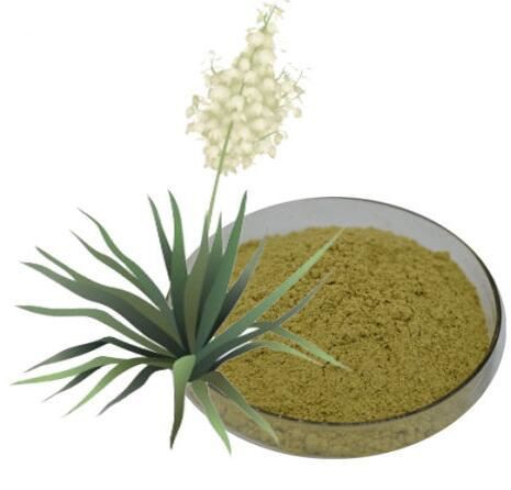 Yucca powder54318306517