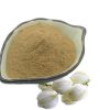 Yucca powder34328091436