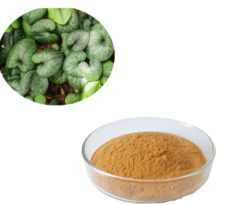 Asiasari radix extract4636c8a4 4623 4d64 bdb7 9019e31932e7
