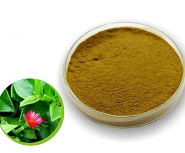 Andrographis leaf extract40452647172