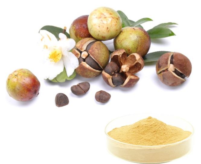 Tea Saponin Powder supplier Tea Saponin Powder supplier