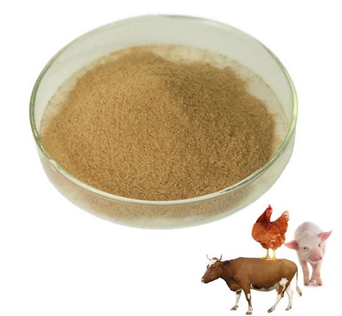 Bacillus licheniformis31232934749