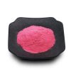Blueberry juice powder00570906983