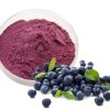 Blueberry juice powder57351219184