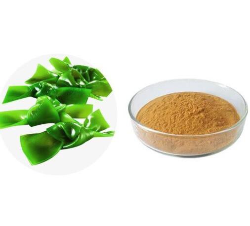 Organic kelp powder12182004544