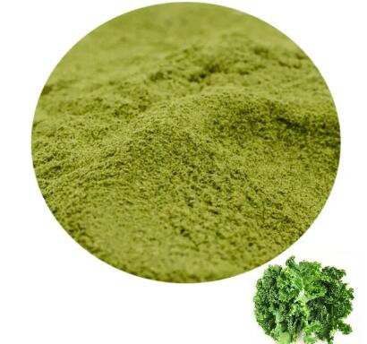 Kale leaf powder7a51fa28 ca7f 419d b51e ef2e3538f73c