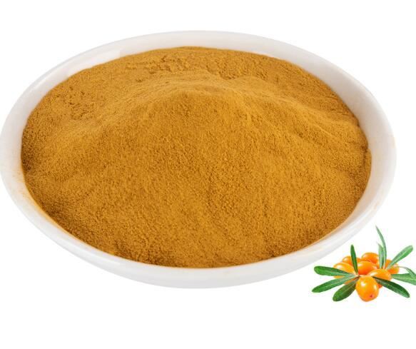 Sea buckthorn powder13270680735