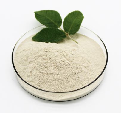 Bacillus subtilis probiotic22368909953