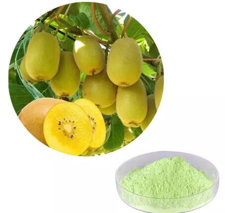 Kiwi juice powder14383791044