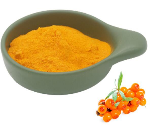 Sea buckthorn powder bulk01548119128