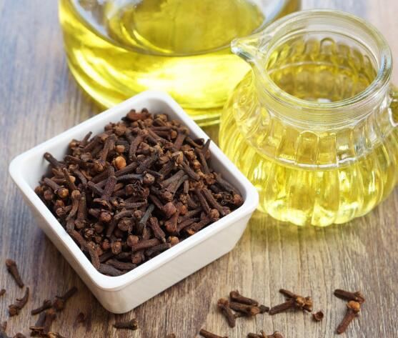 Eugenol oil06437081863