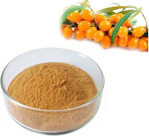 Sea buckthorn berry powder38252528946