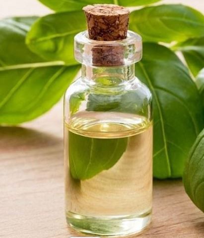 Clove oil26112369561
