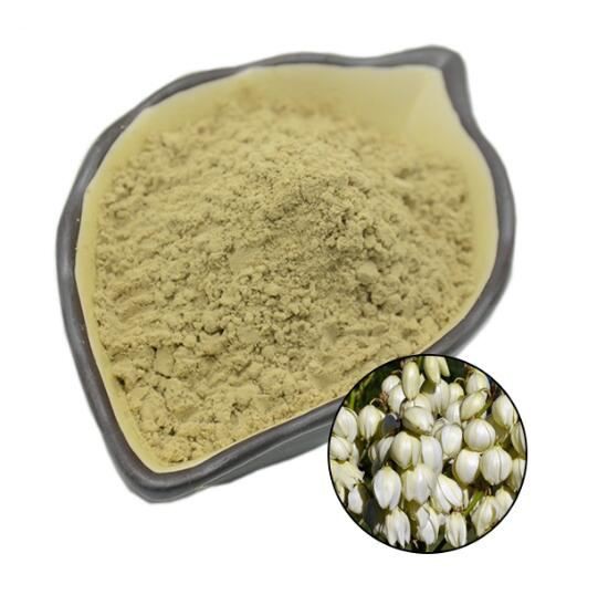 Yucca extract powder supplier Yucca extract powder supplier