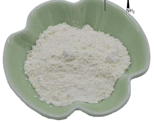 L leucine powder33216834553