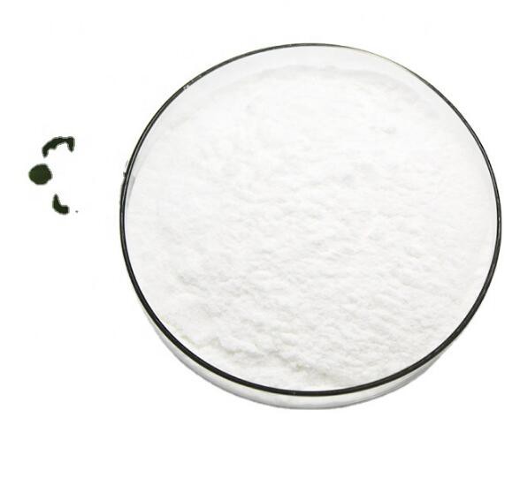 Bifidobacterium longum for dogs02082729721