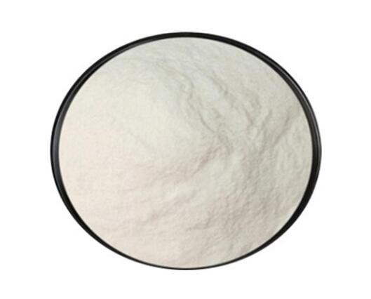 Bifidobacterium animalis58099706116