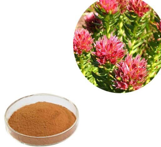 Rhodiola rosea root extract35051755239