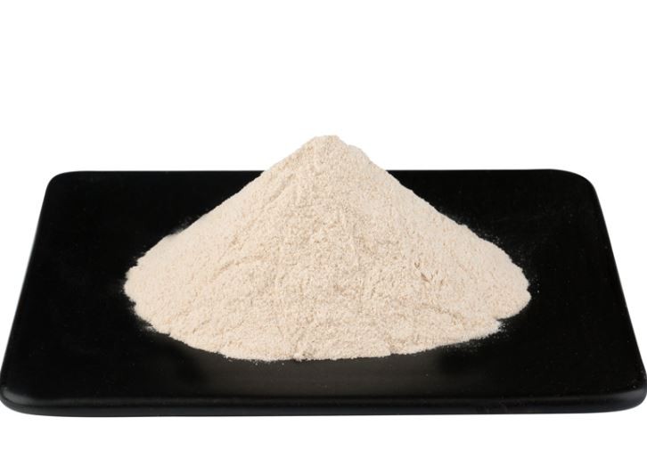 Proteolytic enzymes10579338510