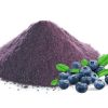 Blueberry powder20039187966