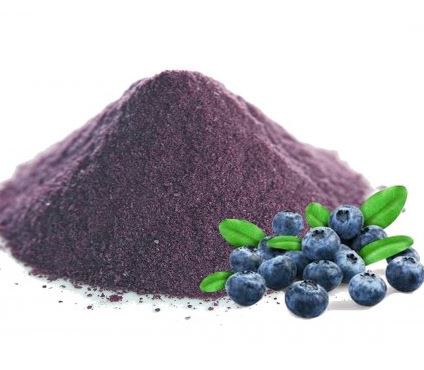 Blueberry powder20039187966