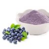 Blueberry powder08096688669