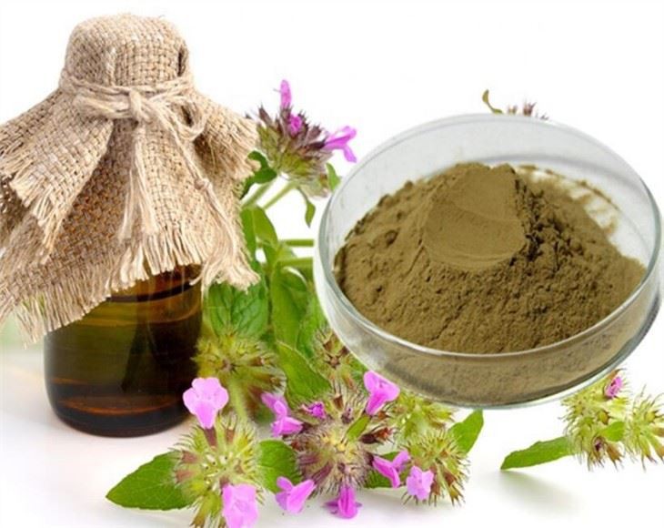 Motherwort extract57067170860