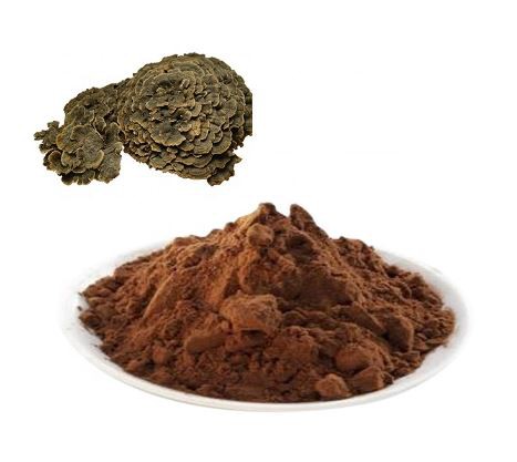 Coriolus versicolor extract21213591367