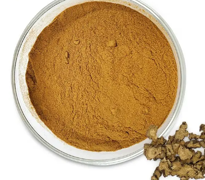 Lovage extract34ccd96b 8d53 4b2e a26e 78888e2fb4c7
