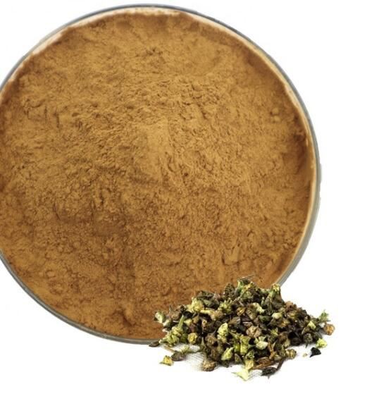 Tribulus terrestris powder40024248439